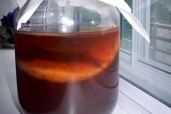 怎么制作红茶菌菌种，制成后要放在阴凉处静置