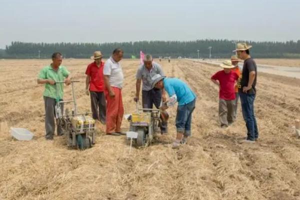 农作物播种、出苗期如何防治地下害虫，可实行轮作倒茬