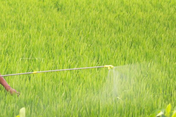 氮肥对植物的作用，可增强光合作用、促进生长、提高作物产量及改善品质