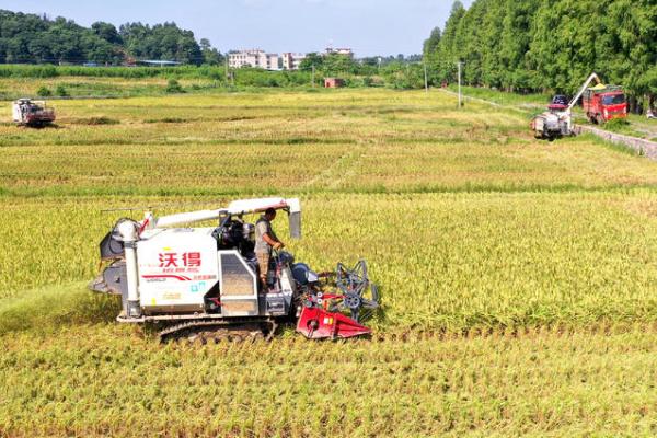 农机手田间工作注意事项，不要疲劳工作