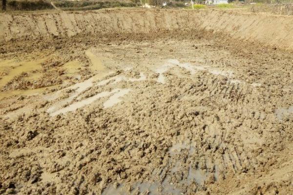 哪些土地可以挖鱼塘，除基本农田外其他土地在有关部门审批后都可以