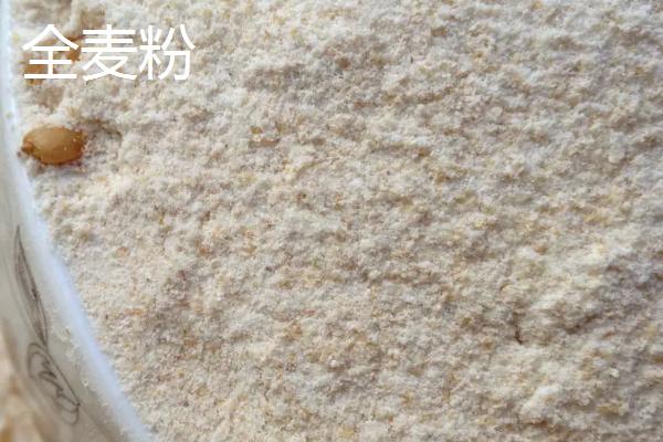 全麦粉是什么面粉，是将小麦表皮、胚芽、籽粒胚乳都精打细磨制成的