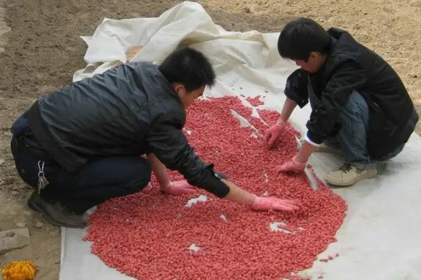 种衣剂的使用注意事项，使用过程中一定要严格执行操作规程