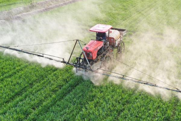 小麦拔节期能打除草剂吗，不能打因为稍有不慎就会产生药害