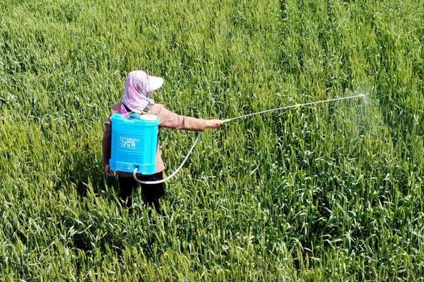 噻唑磷可以杀什么虫，主要用于防治线虫、蚜虫等