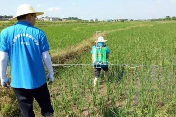 敌草隆的适用范围，主要用于水稻、棉花、大豆等作物