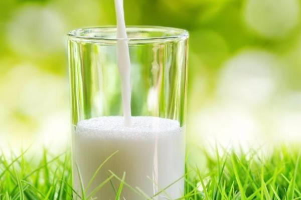 牛奶发酵后适用于哪些植物，适合浇喜酸的植物