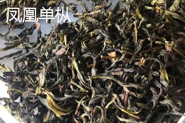 广东名茶排行榜，广东是一个饮茶大省