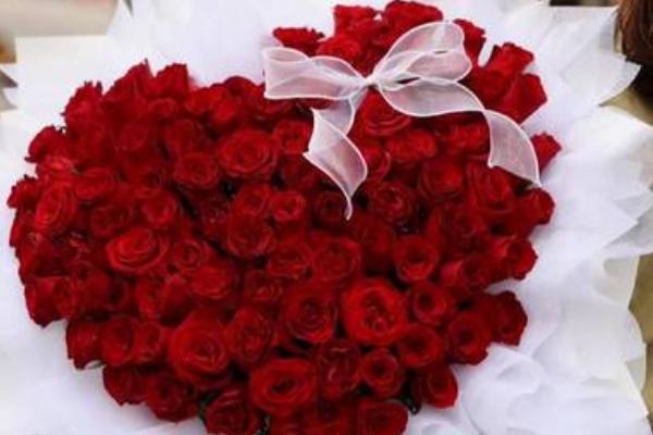 送玫瑰花11朵好还是19朵好，是世界著名的爱情之花