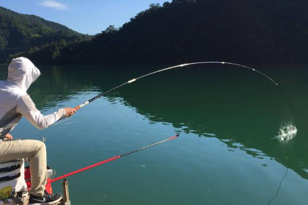 野钓小鱼闹窝如何处理，打素窝可以降低小鱼的进食欲望