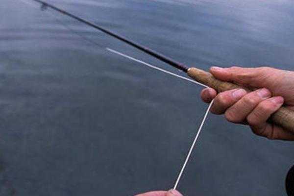 台钓鲢鳙鱼的方法，可选择溶氧量较高的水域作为钓点