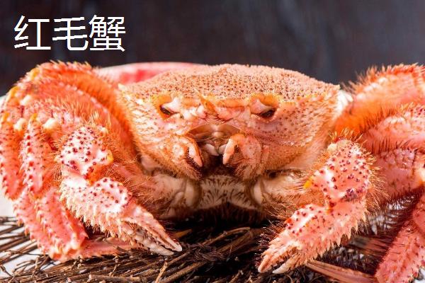 红毛蟹是什么蟹，因体色呈红色而得名