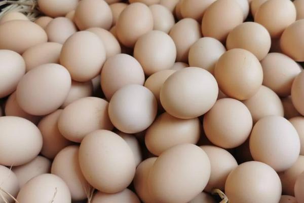 哪种鸡蛋无法孵出小鸡，寡鸡蛋、双黄蛋无法孵化