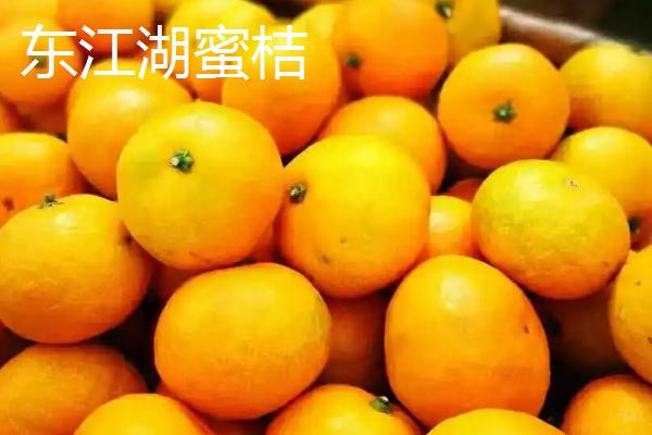 湖南临湘的土特产，包括龙窖腐乳、龙窖酱菜、临湘黑茶等种类