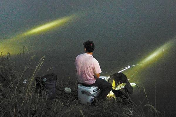 夜钓大鱼开口时间，春季夜钓会在凌晨2-4点开口