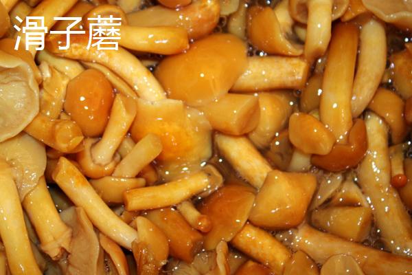 黑龙江佳木斯市的特产，包括力佳风干肠、抱马子茶叶筒等种类