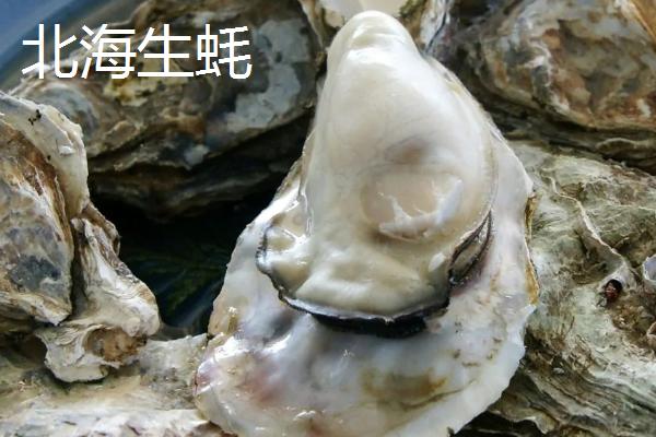 北海生蚝产于哪里，属于广西北海市的特产