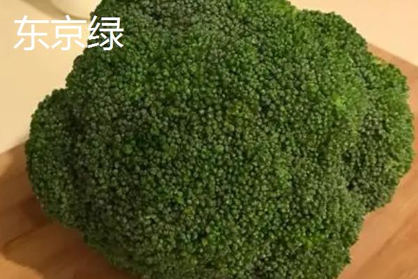 西兰花优良品种介绍，品种众多各具特点