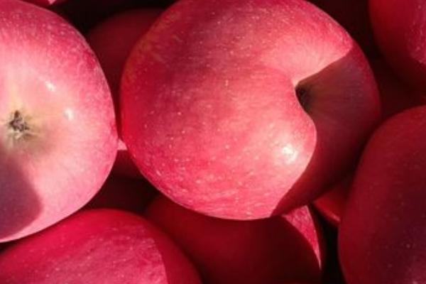 红富士苹果的批发价，会受到产地、品质等条件的影响