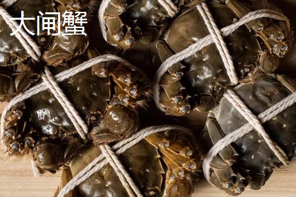 稻田蟹和大闸蟹有什么区别，稻田蟹是指在稻田中养成的大闸蟹