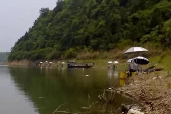 初夏钓鱼适宜时间，在气温没有骤变的情况下全天均可作钓