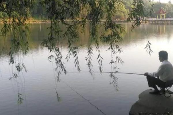 初夏钓鱼适宜时间，在气温没有骤变的情况下全天均可作钓