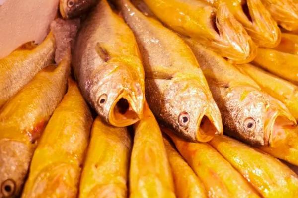 宁波小黄鱼的价格，单尾重量会影响到售价