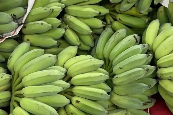 芭蕉和香蕉的区别，产地和外形均不同