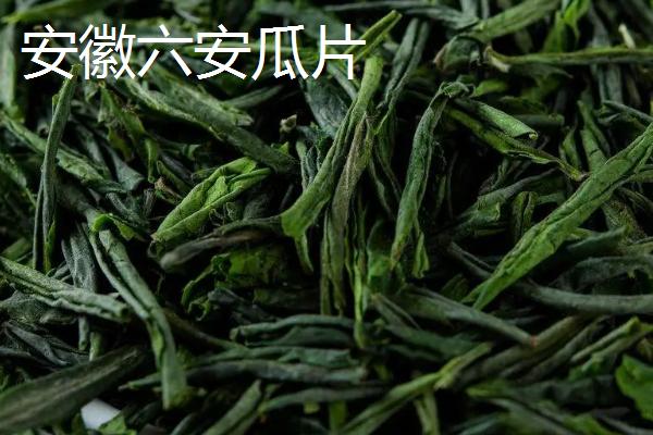 茶树育种如何鉴定品质，可通过观察芽叶的颜色和嫩度做出判断