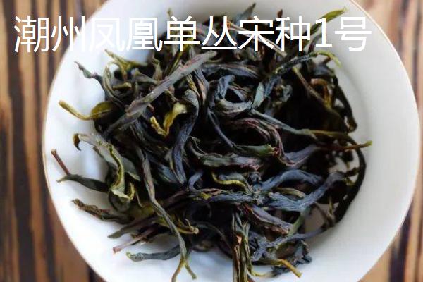 茶树育种如何鉴定品质，可通过观察芽叶的颜色和嫩度做出判断