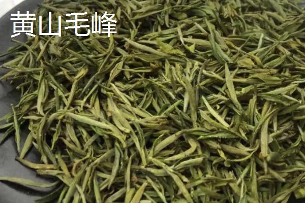 茶树育种如何鉴定品质，可通过观察芽叶的颜色和嫩度做出判断