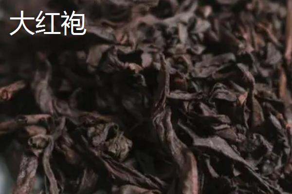 茶树育种如何鉴定品质，可通过观察芽叶的颜色和嫩度做出判断