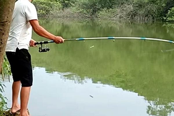 初夏钓鱼技巧，首选钓点是水深1-2米且有水草的浅滩