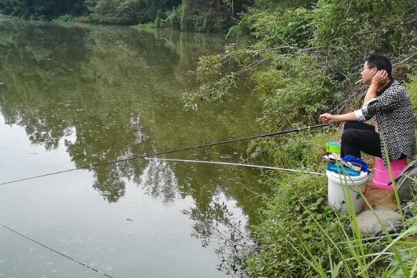 野钓方法攻略，夏季适合在树荫下垂钓