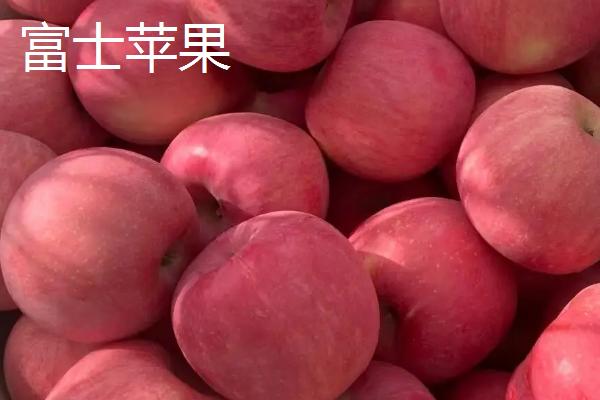 寒富苹果的产地，主产地在中国北方
