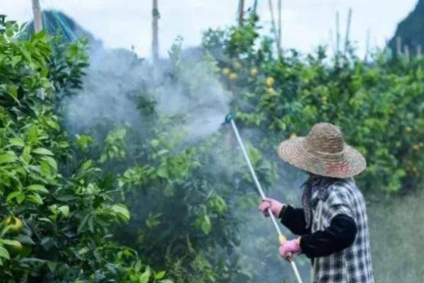 灭草剂打完几天见效，不同种类的见效时间不同