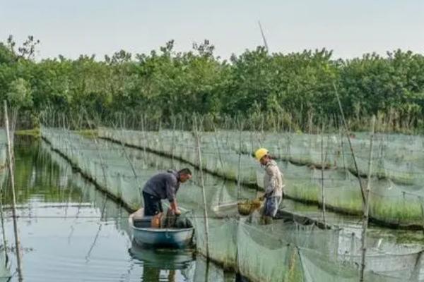 水产养殖公司注册需要办理什么手续，需要办理水产养殖许可证