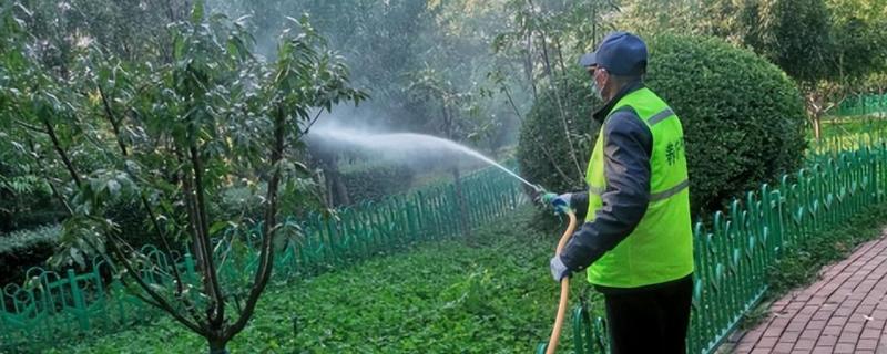 植物表面保护防冻专用剂有什么特点，方便使用、有效期长、功能多样