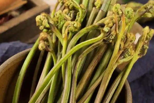 常见的野菜，有堇菜、荠菜、山莴苣等