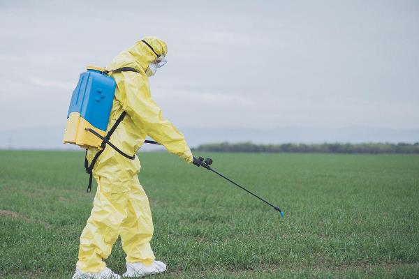 氨基寡糖素能预防哪些病害，能防治纹枯病、稻曲病、白粉病等