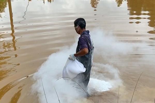 新挖的鱼塘养鱼前要怎么处理，需反复多次放入清水进行清洗和暴晒