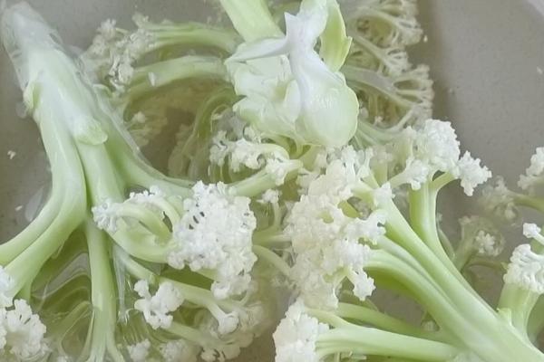 花菜怎样清洗，用牙刷在流水下轻刷再用盐水浸泡