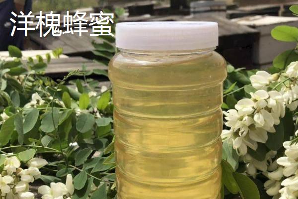 紫云英蜂蜜和洋槐蜂蜜的区别，色泽、口感和结晶性均不同