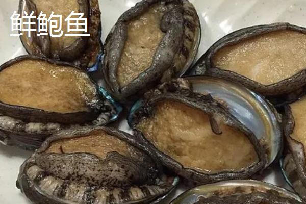 鲜鲍鱼和干鲍鱼的区别，概念、口感和烹饪方法均不同