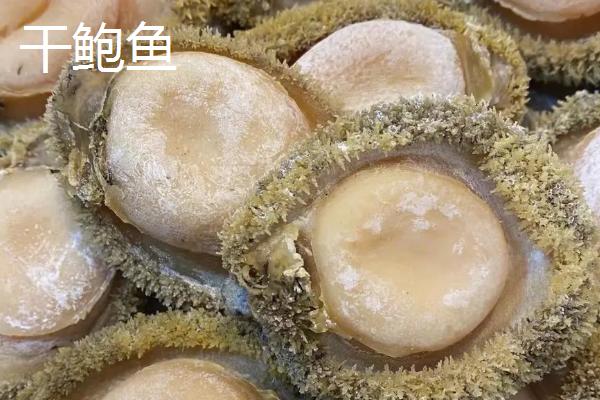 鲜鲍鱼和干鲍鱼的区别，概念、口感和烹饪方法均不同