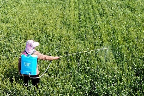 木霉菌有什么作用，能对抗和控制植物病原、病毒