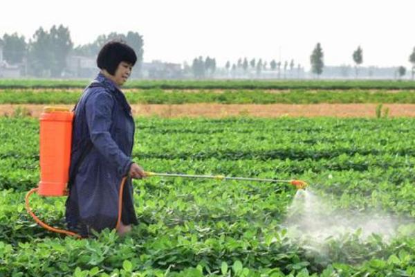 阿维菌素的防治对象，可灭杀水稻螟虫、蚜虫、小菜蛾等害虫