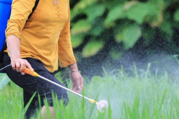 毒死蜱的防治对象，可灭杀鳞翅目、鞘翅目等害虫