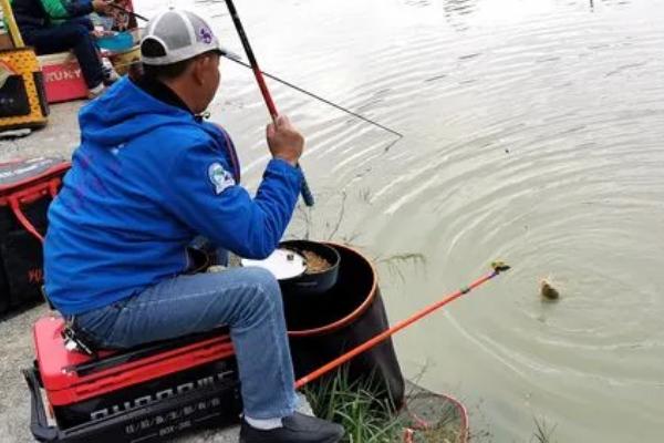 钓鲢鱼如何调漂，找底、修剪铅皮、挂饵调漂、钓目调整