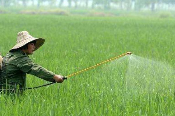 有哪些药杀梢素，常见的有乙氧氟草醚、乳氟禾草灵等